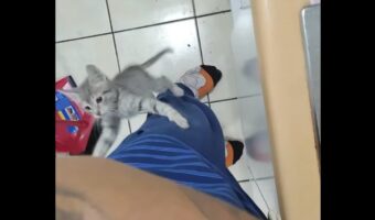 今日も登頂成功！子猫が飼い主さんの体をキャットタワー扱いしてスルスルと登っていく！！【海外・動画】