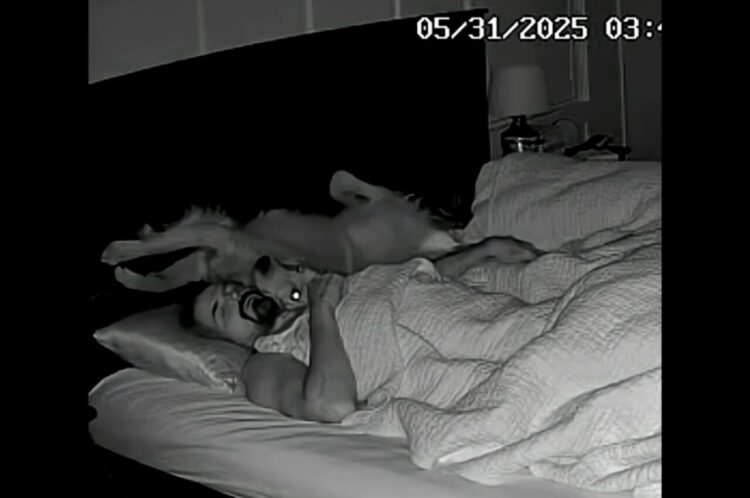 深夜3時のかまってちゃん。眠っている飼い主さんにくっついて甘えるゴールデンレトリバー