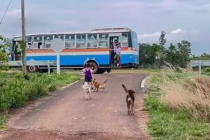 おかえりなさい！スクールバスに乗って帰ってきた女の子を熱烈歓迎するイヌたち【海外・動画】