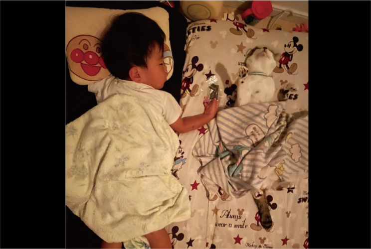 仲良くぐっすり眠る幼い男の子とネコ。しっかりお腹を守っている寝姿に反響「微笑ましい光景」「子供慣れしてる」