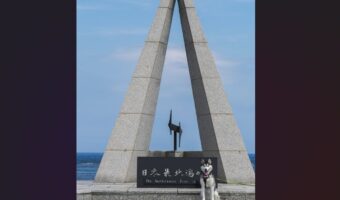 位置が絶妙!?『日本最北端のハスキー』になっていた1枚の写真が話題に「元々寒冷地域の犬なので、何の違和感もない」