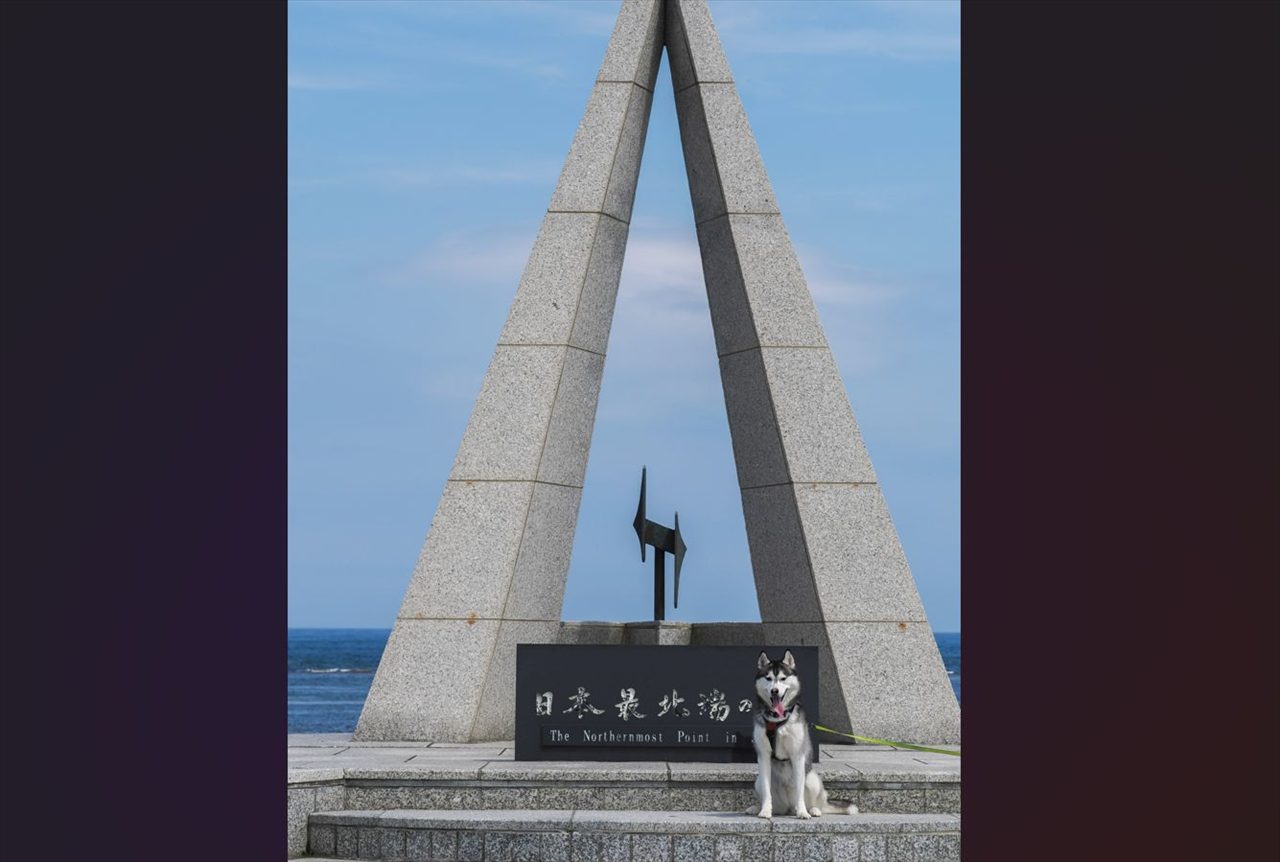 位置が絶妙!?『日本最北端のハスキー』になっていた1枚の写真が話題に「元々寒冷地域の犬なので、何の違和感もない」