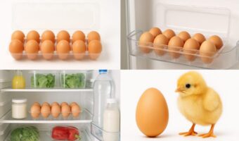 【冷蔵庫の卵ケース】そこに入れるのNG!? 実は“鮮度が落ちやすい”理由