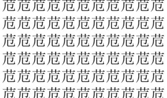 【脳トレ】「苊」の中に紛れて1つ違う文字がある！？あなたは何秒で探し出せるかな？？【違う文字を探せ！】