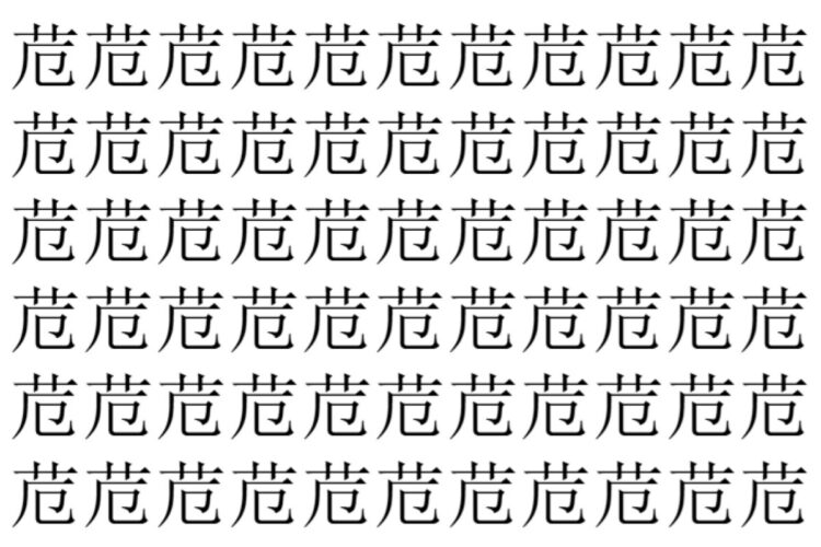 【脳トレ】「苊」の中に紛れて1つ違う文字がある！？あなたは何秒で探し出せるかな？？【違う文字を探せ！】