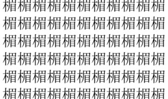 【脳トレ】「楣」の中に紛れて1つ違う文字がある!?あなたは何秒で探し出せるかな??【違う文字を探せ!】