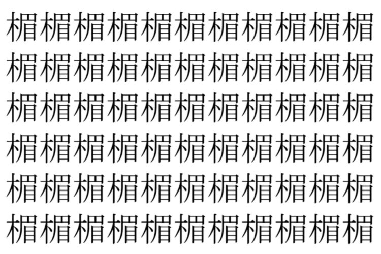 【脳トレ】「楣」の中に紛れて1つ違う文字がある！？あなたは何秒で探し出せるかな？？【違う文字を探せ！】