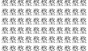 【脳トレ】「堥」の中に紛れて1つ違う文字がある！？あなたは何秒で探し出せるかな？？【違う文字を探せ！】