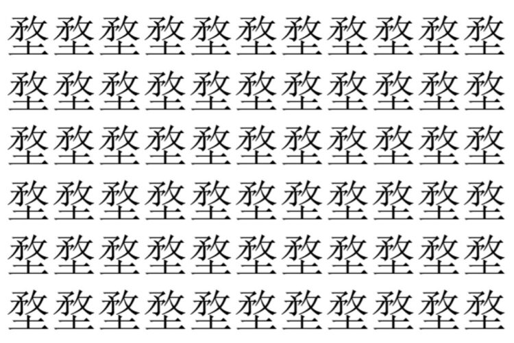 【脳トレ】「堥」の中に紛れて1つ違う文字がある！？あなたは何秒で探し出せるかな？？【違う文字を探せ！】