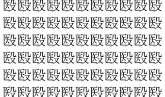 【脳トレ】「殹」の中に紛れて1つ違う文字がある!?あなたは何秒で探し出せるかな??【違う文字を探せ!】