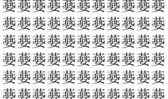 【脳トレ】「嬊」の中に紛れて1つ違う文字がある!?あなたは何秒で探し出せるかな??【違う文字を探せ!】