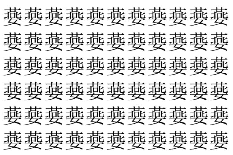 【脳トレ】「嬊」の中に紛れて1つ違う文字がある！？あなたは何秒で探し出せるかな？？【違う文字を探せ！】