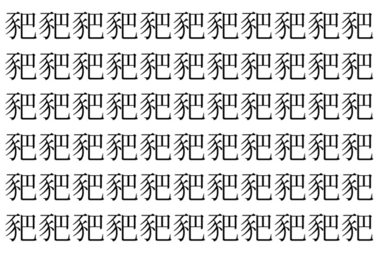 【脳トレ】「豝」の中に紛れて1つ違う文字がある！？あなたは何秒で探し出せるかな？？【違う文字を探せ！】