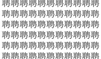 【脳トレ】「聘」の中に紛れて1つ違う文字がある!?あなたは何秒で探し出せるかな??【違う文字を探せ!】