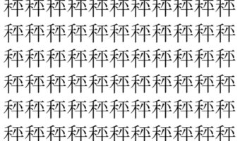 【脳トレ】「秤」の中に紛れて1つ違う文字がある！？あなたは何秒で探し出せるかな？？【違う文字を探せ！】