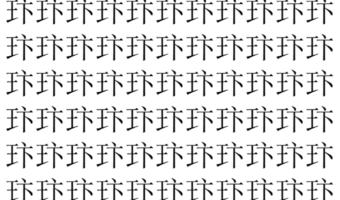 【脳トレ】「玣」の中に紛れて1つ違う文字がある！？あなたは何秒で探し出せるかな？？【違う文字を探せ！】