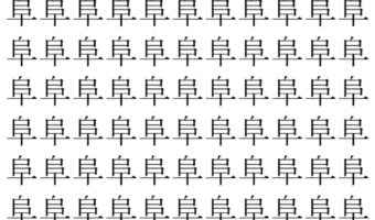 【脳トレ】「阜」の中に紛れて1つ違う文字がある!?あなたは何秒で探し出せるかな??【違う文字を探せ!】