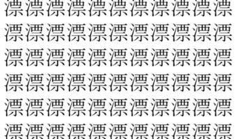 【脳トレ】「漂」の中に紛れて1つ違う文字がある!?あなたは何秒で探し出せるかな??【違う文字を探せ!】