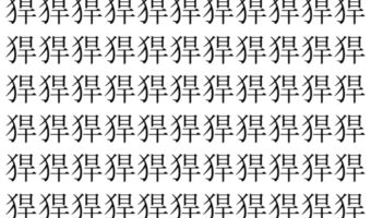 【脳トレ】「猂」の中に紛れて1つ違う文字がある!?あなたは何秒で探し出せるかな??【違う文字を探せ!】