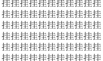 【脳トレ】「挂」の中に紛れて1つ違う文字がある!?あなたは何秒で探し出せるかな??【違う文字を探せ!】