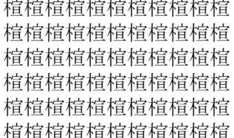 【脳トレ】「楦」の中に紛れて1つ違う文字がある!?あなたは何秒で探し出せるかな??【違う文字を探せ!】