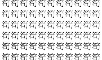 【脳トレ】「笱」の中に紛れて1つ違う文字がある！？あなたは何秒で探し出せるかな？？【違う文字を探せ！】