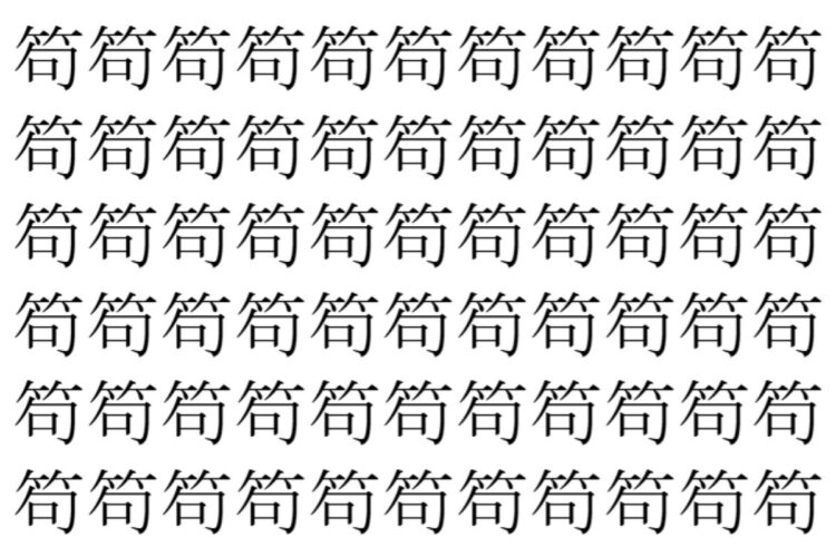 【脳トレ】「笱」の中に紛れて1つ違う文字がある！？あなたは何秒で探し出せるかな？？【違う文字を探せ！】