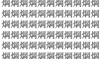 【脳トレ】「焵」の中に紛れて1つ違う文字がある！？あなたは何秒で探し出せるかな？？【違う文字を探せ！】