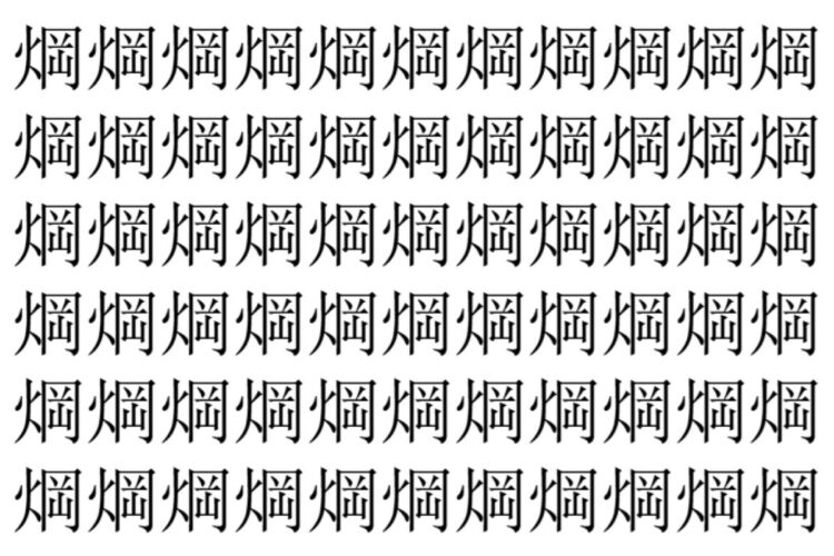【脳トレ】「焵」の中に紛れて1つ違う文字がある！？あなたは何秒で探し出せるかな？？【違う文字を探せ！】