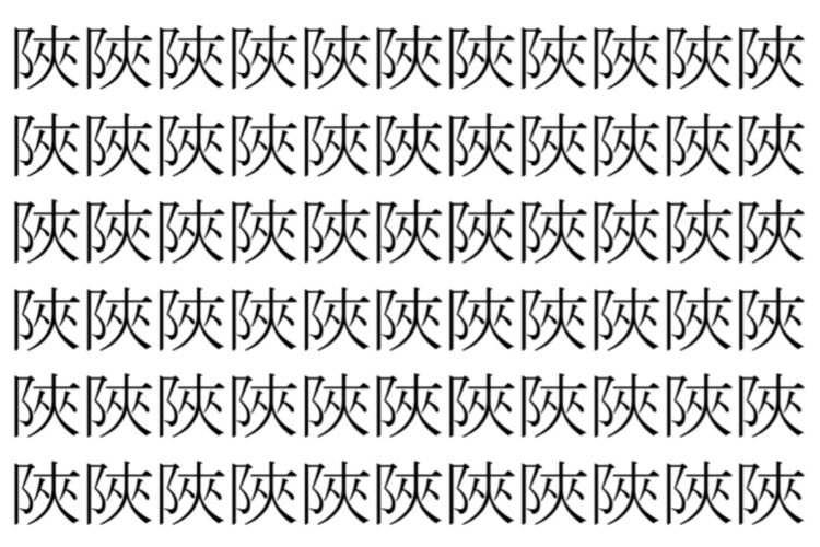 【脳トレ】「陜」の中に紛れて1つ違う文字がある！？あなたは何秒で探し出せるかな？？【違う文字を探せ！】
