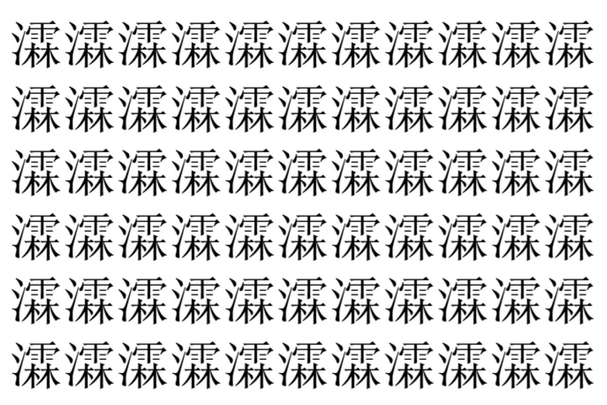 【脳トレ】「瀮」の中に紛れて1つ違う文字がある！？あなたは何秒で探し出せるかな？？【違う文字を探せ！】