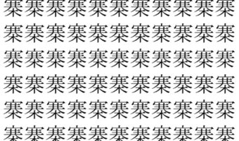 【脳トレ】「寨」の中に紛れて1つ違う文字がある!?あなたは何秒で探し出せるかな??【違う文字を探せ!】