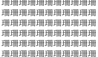 【脳トレ】「珊」の中に紛れて1つ違う文字がある！？あなたは何秒で探し出せるかな？？【違う文字を探せ！】