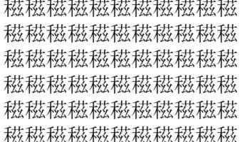 【脳トレ】「稵」の中に紛れて1つ違う文字がある!?あなたは何秒で探し出せるかな??【違う文字を探せ!】