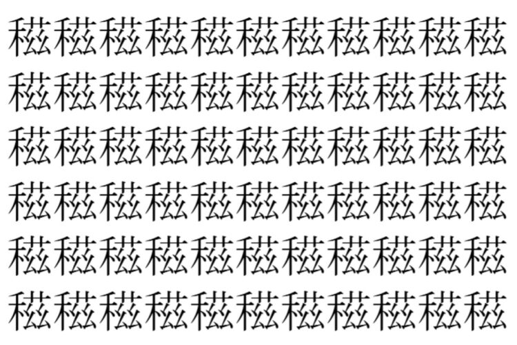 【脳トレ】「稵」の中に紛れて1つ違う文字がある！？あなたは何秒で探し出せるかな？？【違う文字を探せ！】