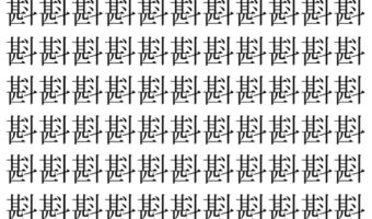 【脳トレ】「斟」の中に紛れて1つ違う文字がある!?あなたは何秒で探し出せるかな??【違う文字を探せ!】