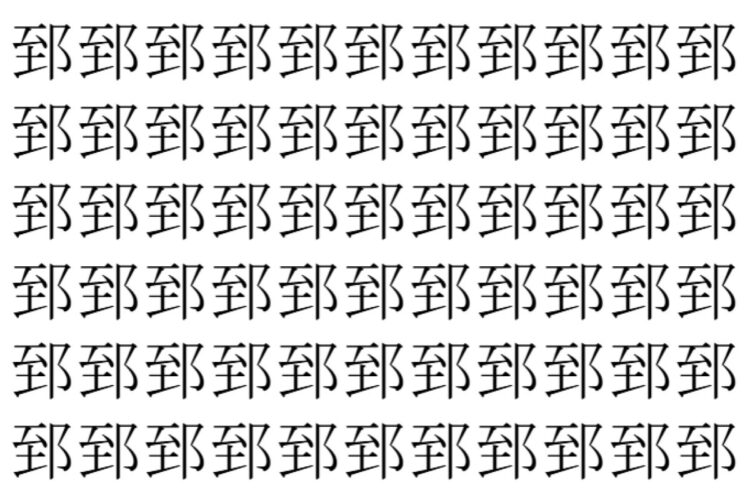 【脳トレ】「郅」の中に紛れて1つ違う文字がある！？あなたは何秒で探し出せるかな？？【違う文字を探せ！】