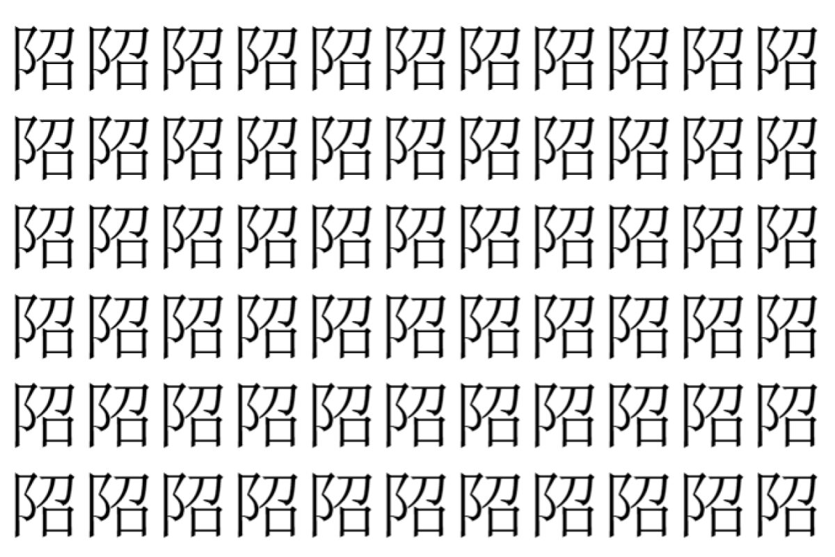 【脳トレ】「䧂」の中に紛れて1つ違う文字がある!?あなたは何秒で探し出せるかな??【違う文字を探せ!】
