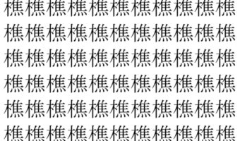 【脳トレ】「樵」の中に紛れて1つ違う文字がある！？あなたは何秒で探し出せるかな？？【違う文字を探せ！】