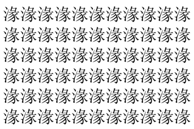 【脳トレ】「湪」の中に紛れて1つ違う文字がある！？あなたは何秒で探し出せるかな？？【違う文字を探せ！】