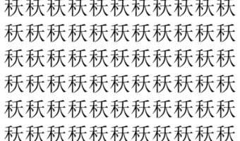 【脳トレ】「秗」の中に紛れて1つ違う文字がある!?あなたは何秒で探し出せるかな??【違う文字を探せ!】