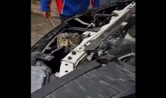 エンジンルームから出てきたのはネコではない！？顔を出したフクロウにビックリ！！【海外・動画】