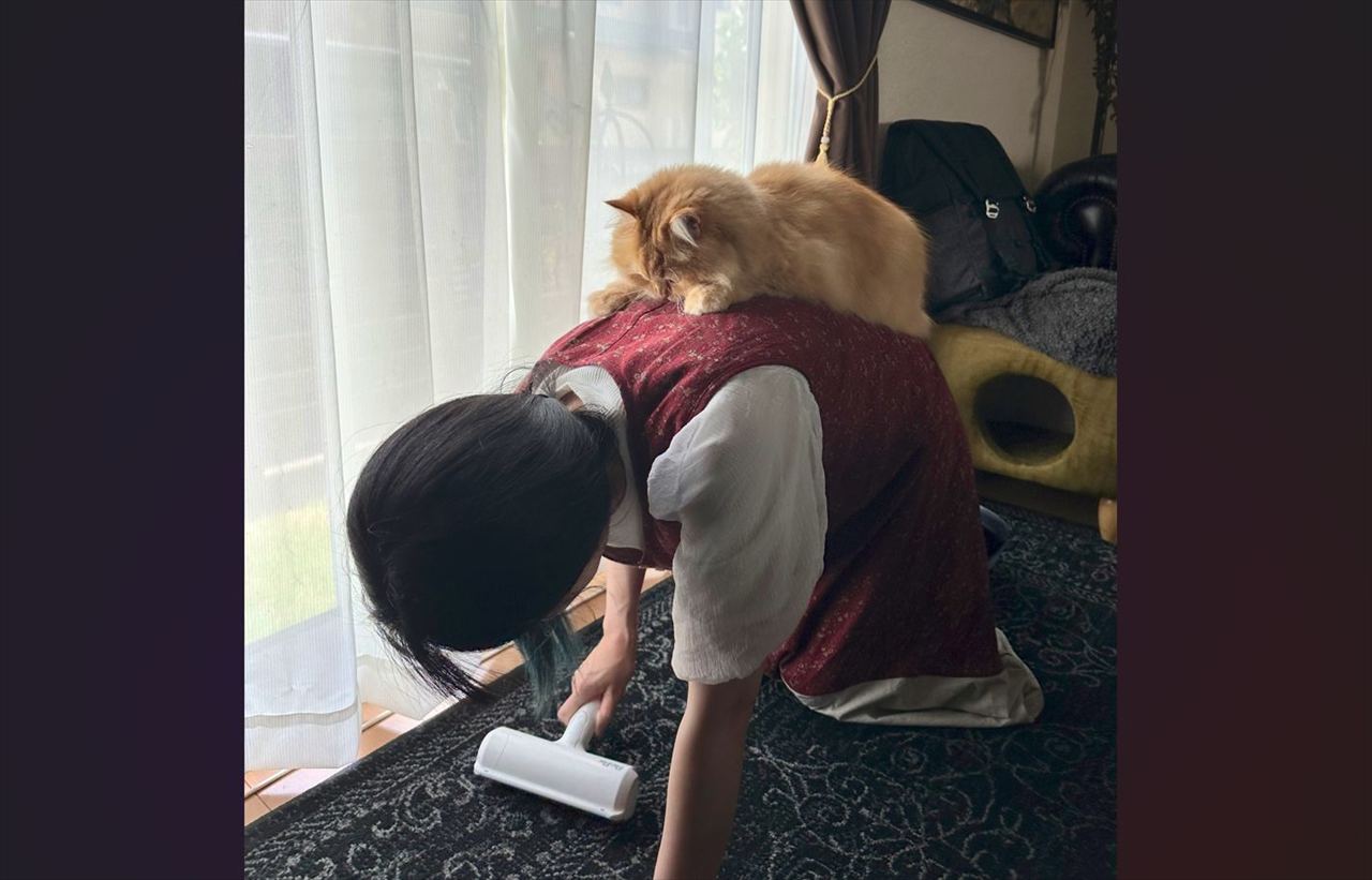 「取っても取っても猫の毛が!」床をコロコロする飼い主さんとその背中でくつろぐネコの姿が話題に「生産者と消費者の図」「やる事すべてがかわいい」