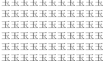 【脳トレ】「玉」の中に紛れて1つ違う文字がある！？あなたは何秒で探し出せるかな？？【違う文字を探せ！】
