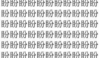 【脳トレ】「盼」の中に紛れて1つ違う文字がある！？あなたは何秒で探し出せるかな？？【違う文字を探せ！】