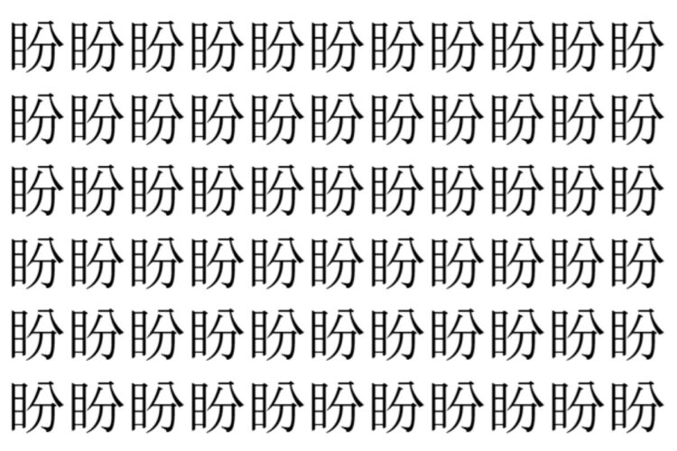 【脳トレ】「盼」の中に紛れて1つ違う文字がある！？あなたは何秒で探し出せるかな？？【違う文字を探せ！】