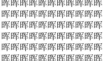【脳トレ】「晖」の中に紛れて1つ違う文字がある！？あなたは何秒で探し出せるかな？？【違う文字を探せ！】