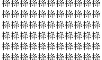 【脳トレ】「栙」の中に紛れて1つ違う文字がある！？あなたは何秒で探し出せるかな？？【違う文字を探せ！】