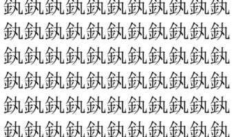 【脳トレ】「釻」の中に紛れて1つ違う文字がある!?あなたは何秒で探し出せるかな??【違う文字を探せ!】
