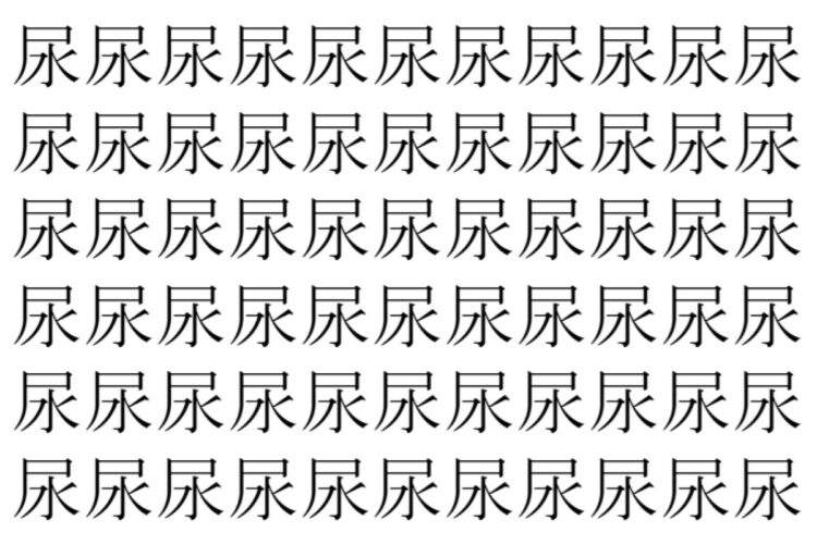 【脳トレ】「尿」の中に紛れて1つ違う文字がある！？あなたは何秒で探し出せるかな？？【違う文字を探せ！】